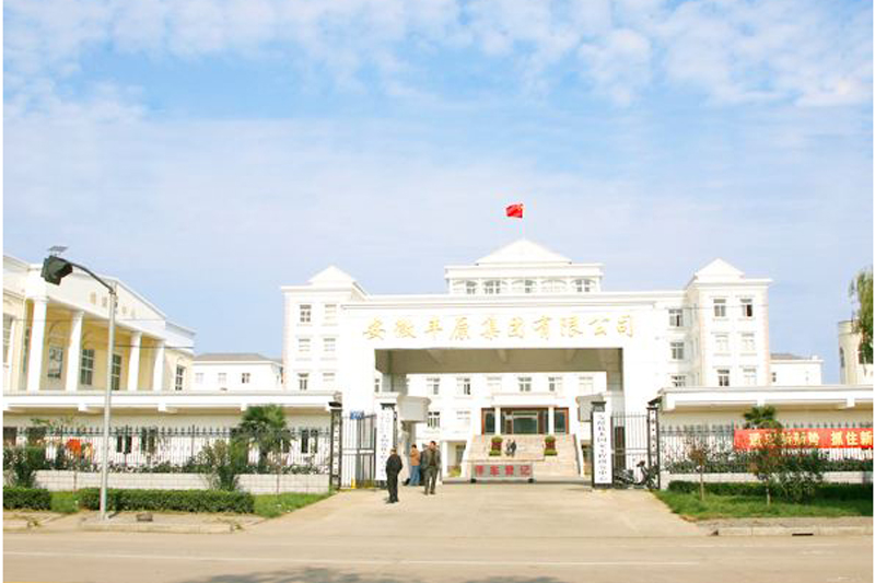 安徽豐原集團(tuán)有限公司
